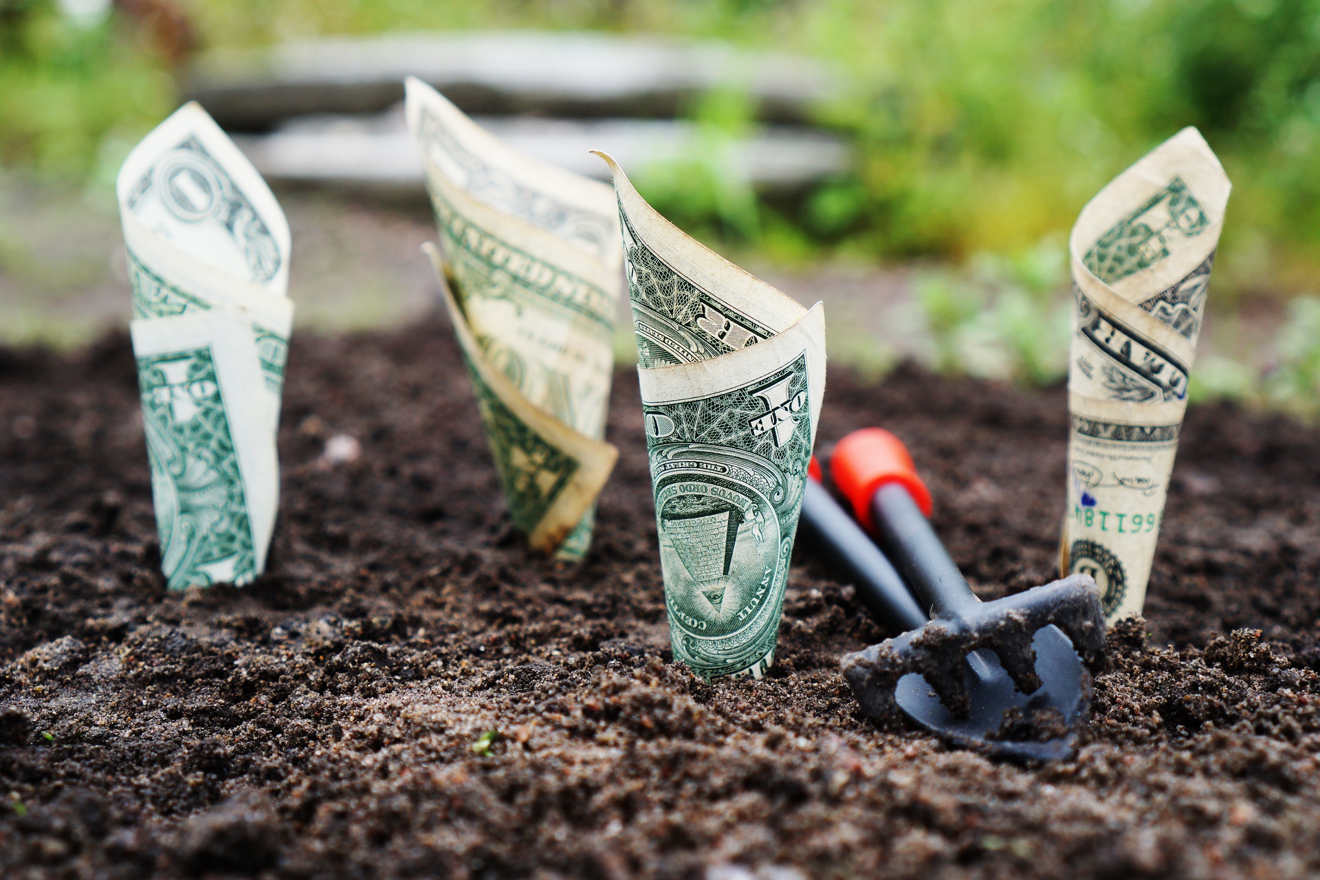 Consider these things to Achieve Financial security