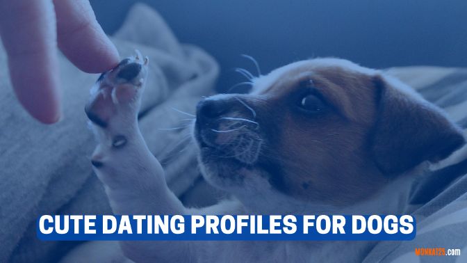 Cute Dating Profiles For Dogs